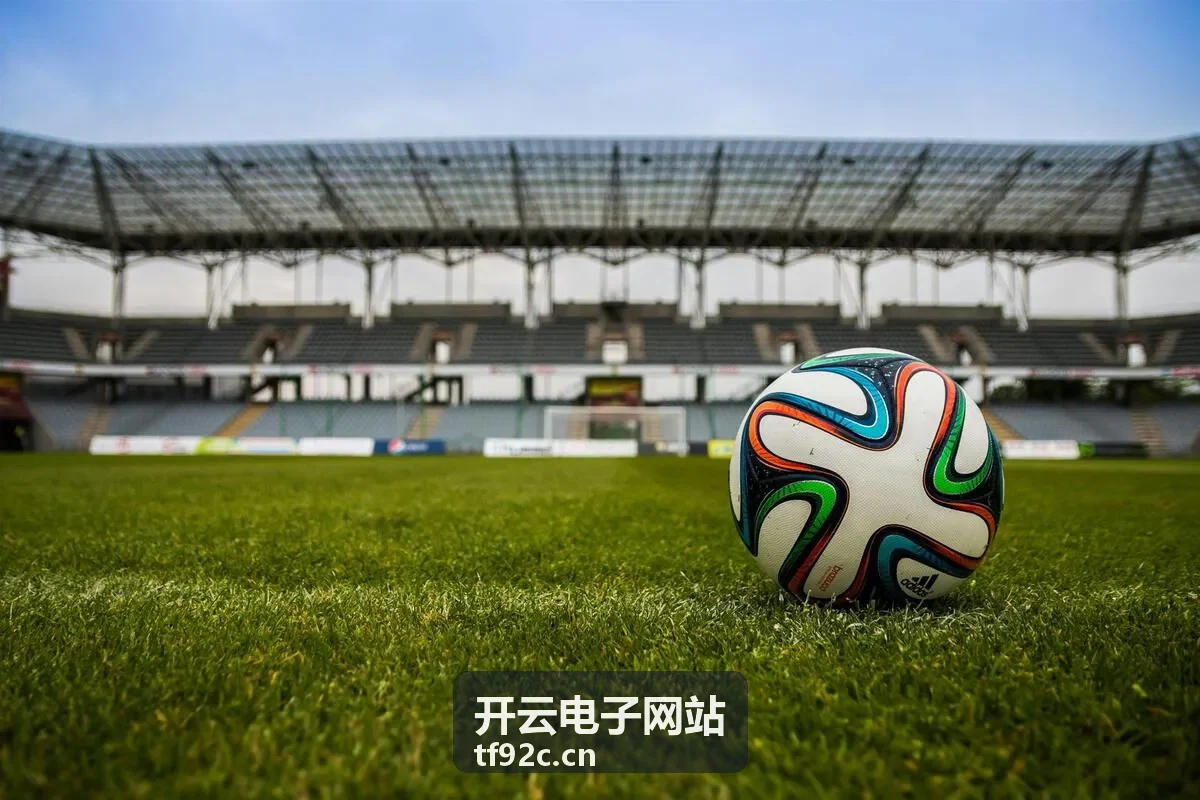 开云电子网站文件安全校验功能截图